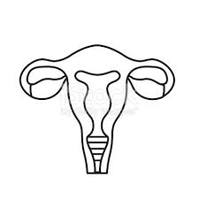 Line Fallopian Tubes With Uterus To Human Anatomy Vector Illustration Bordados A Mao Livre Desenhos Bordados A Mao Moldes De Desenhos Contour vector outline drawing of human uterus organ. pinterest