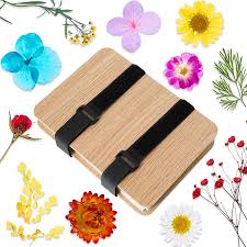 Although i have dabbled in many crafts, dried flowers, is not one i have tried. Nature Press 52 Pieces Flower Press Kit 6 Layers Microwave Plant Press Kit Leaf Press Craft Press Flowers Leaves Plant Foliage Specimen For Diy Art Handicrafts Specimens Outdoor Learning Set Toys