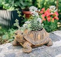 Amazon.com: Maceta de tortuga para suculentas: maceta de ...