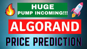 Digital coin price claims to be a profitable bet for the currency of algorand. C82dhbdszjorqm