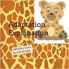 Adaptation Explanation Animal Adaptations Interactive Activities Animal Worksheets