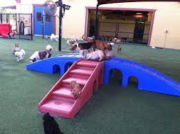 Family owned all star pet resort has been serving the torrance & los angeles pet boarding and pet grooming community for over 35 years! All American Pet Resorts Office Photos Glassdoor