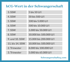 Hcg Wert Bitte Noch Ein Baby Forum