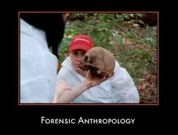 How to become a forensic anthropologist. Forensic Anthropology Careers