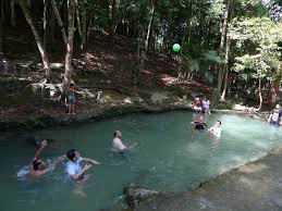 Cerca de teluk bahang, pulau pinang (မလေးရှား). Tempat Menarik Di Penang Taman Rimba Teluk Bahang Belog Zai Zamree