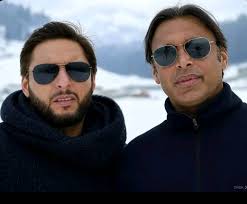 Two legends taking a rest. Identical twins 🤣🤣🤣