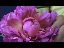 Check spelling or type a new query. Things To Float In A Swimming Pool To Decorate For A Party Party Planning Ideas Youtube
