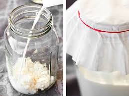 как вырастить молочный гриб с нуля в домашних условиях Molochnyj Grib Kefirnyj Tibetskij Kak Uhazhivat I Pravilno Upotreblyat Chudo Povar