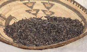 Image result for manoomin, or wild rice
