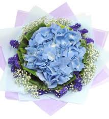 We fulfill your flower bouquet orders across the countries with same day free flower delivery in selected areas. Online Flower Delivery In Kl Premium Online Florist In Malaysia Florygift Deliver Flowers Gifts