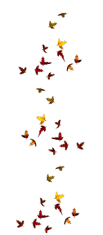 Find here the trending and attractive and interesting animated gif images of falling leaves that can be shared online. Leaves Falling Transparent Gif Autumn Gif On Tumblr Black And White Snowfall Clipart