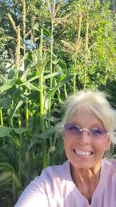 Moose size and unexpected encounters in North America