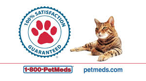 Browse the best pet meds businesses reviewed by millions of consumers on sitejabber. You Can Trust 1 800 Petmeds Youtube