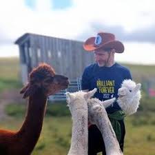 Dr Kevin MacNeil ☸ けヴいん (@Kevin_MacNeil)