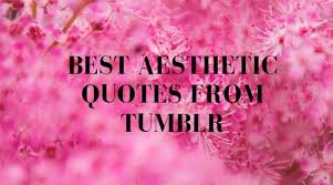 Several times i had to put the book. Best Thing Quotes Tumblr 32 Of The Best Motivational Inspirational Tumblr Picture Quotes Dogtrainingobedienceschool Com