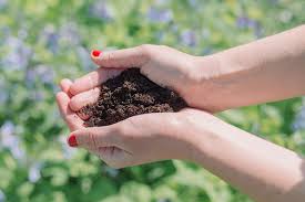 Maybe you would like to learn more about one of these? How To Use Coffee Grounds In Your Garden