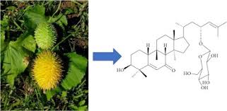 Image result for Momordica foetida