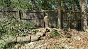 Https Besttreeandsprinklerservice Com Near Me In Mobile Al Tree Service Tree Tree Trimming Service