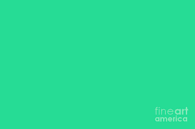 Aqua (latin for water) is a variation of the color cyan. Bright Aqua Green Solid Color Accent Shades 12e193 Digital Art By Melissa Fague