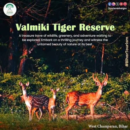 Valmiki Tiger Reserve: A Wildlife Safari in the Himalayan Foothills