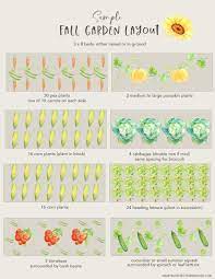 Fall Vegetable Garden Planning And Layout Ideas Garden Layout Vegetable Fall Garden Vegetables Vegetable Garden Planning