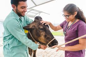 Maestría en Salud y Producción Animal