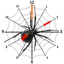 They deconstruct and reconstruct the hands every minute to make a working spiderclock. Spider Clock Widget Android App Apk Com Spiderclockwidgetbupepa By Amazing Bupepa World Download On Phoneky