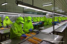 Lowongan kerja pt tamron akuatik produk industri (pabrik udang) cikande 2021. Panca Mitra Pmmp Siapkan Belanja Modal Hingga Rp 70 Miliar Pada 2021