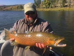 Spinner fall guide service is authorized to conduct guided fly fishing trips on the green river in utah. Fly Fishing Green River Green River Fly Fishing Photos