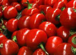 We did not find results for: What Are Sweet Cherry Peppers Caring For Sweet Cherry Pepper Plants