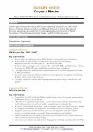 corporate director resume samples