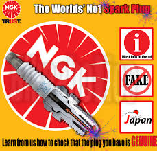 Details About Ngk Spark Plug For Ktm Motorcycles