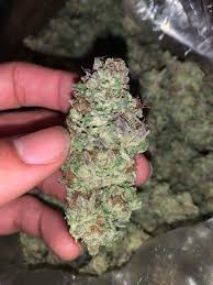 That means reasonable dense and chunky. Delta 8 Thc Flower Sour Cherry Flavor Top Shelf Cbd Flower