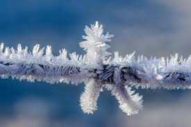 18.12.2021 · many winter solstice traditions revolve around gathering and celebrating with others. Winter Solstice 2021 When Is The First Day Of Winter What Is The Winter Solstice The Old Farmer S Almanac