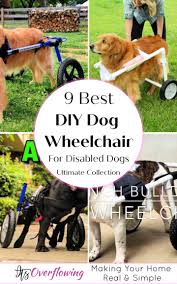 Pets 3 pet dogs doggies diy dog wheelchair. 9 Best Diy Dog Wheelchair Plans For Disabled Dogs
