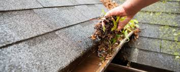 NZ Home Gutter Cleaning Guide | DIY Tips and Instructions