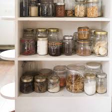 how to get rid of bugs mice rodents