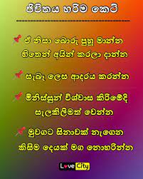 We did not find results for: Pin On Weaving Patterns