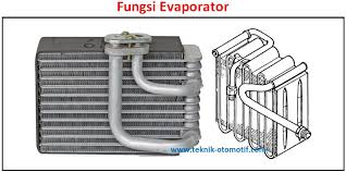 Rotary evaporator adalah alat yang dapat menguapkan senyawa (pelarut) pada kondisi di bawah tekanan sehingga zat terlarut. Fungsi Evaporator Pada Sistem Ac Mobil Teknik Otomotif Com