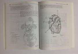 A complete study guide, 9th edition. Anatomy Physiology Coloring Book Hobbies Toys Books Magazines Assessment Books On Carousell