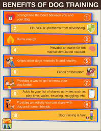 Find pet care, book and pay, and get updates through the app. Pet Care Services In Canada Benefits Of Dog Training Dog Training Pet Care Dog Training Tips