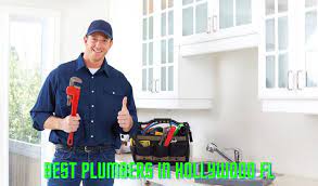 Hollywood, florida handyman services are very important for your house because they carry out seasonal maintenance like customizing a living room, garage repair, door repair, plumbing. The 5 Best Plumbers In Hollywood Fl 2021