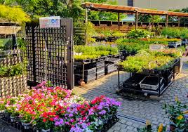 Edenz hydro and garden superstore has garden supplies, hydroponics, indoor garden supplies our garden supply store helps madison heights residents grow thriving gardens with the best garden supplies on the market at wholesale prices. Tokyo Garden Shops Supplies Inspiration Tokyo Cheapo