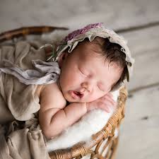 Lisa Dodge Photography