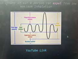 Image result for Vital Capacity