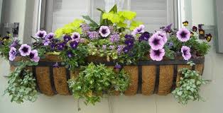 Diy window box planter ideas: Types Of Planters For Window Box Gardening Articlecube
