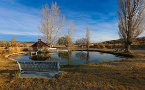 Image result for Little Catnip Spring - Sheldon Refuge Winnemucca NV