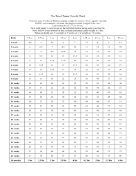 39 Timeless Chihuahua Weight And Growth Chart