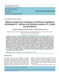 Image result for Zehneria capillacea