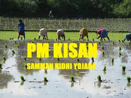 Pm kisan list, procedure explained in hindi | pradhan mantri kisan samman nidhi list 2020, किसान सम्मान निधि सूची ऑनलाइन देखें किसान सम्मान निधि योजना से जुड़े सब काम करें मोबाइल एप पर. Pm Kisan Samman Nidhi Yojana List 2019 These Farmers To Benefit Check Revised Eligibility Official Website Zee Business